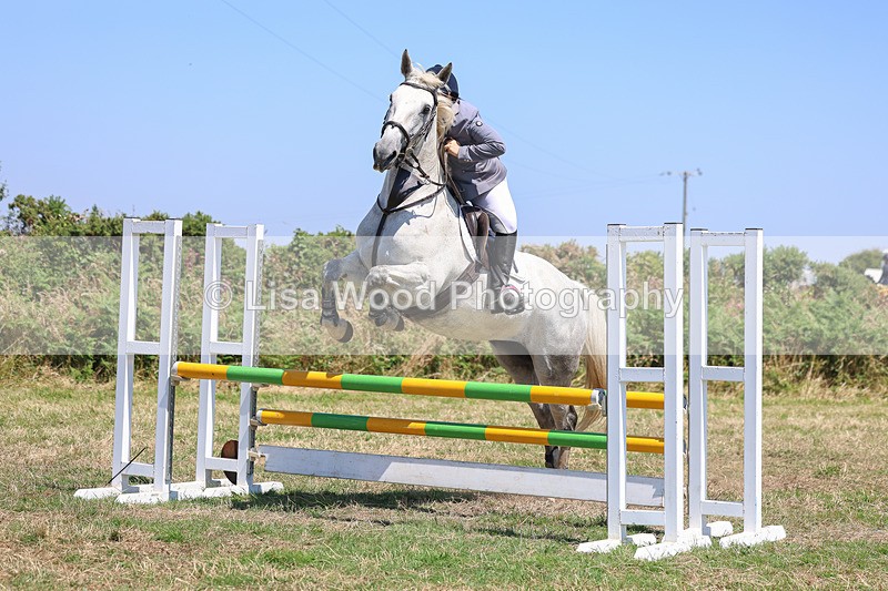 3E7A4360 - Class 10: Senior British Novice/90cm open