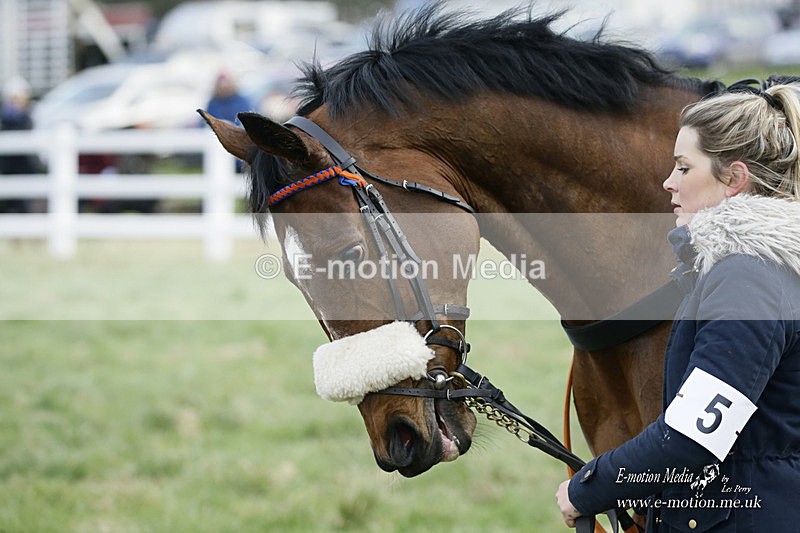 PtP 281121 0489 - Hursley Hambledon Point-to-Point Larkhill 28/11/21