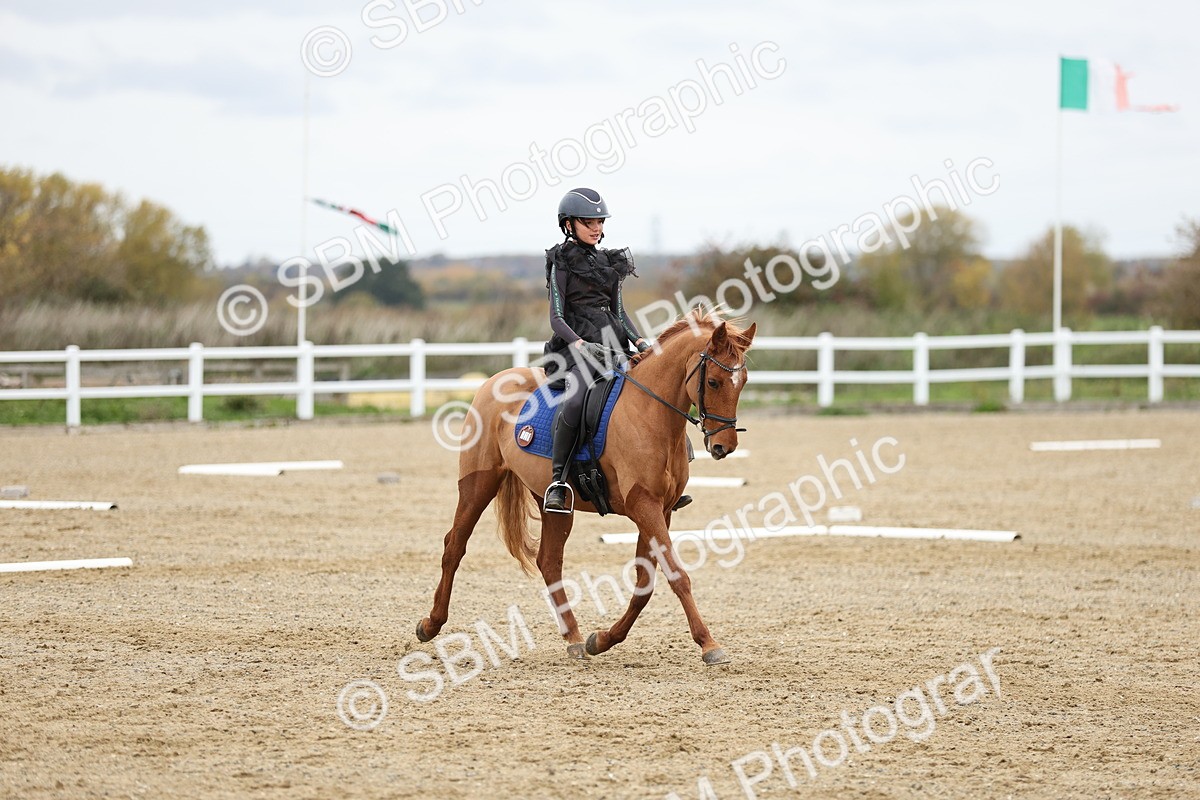 SBM_003860 - Class 9-12 - Novice 2 Elementary 3