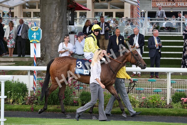 yr23072021r4-7 - Race 4 7.30pm British Stallion Studs EBF Lyric Fillies' Stakes