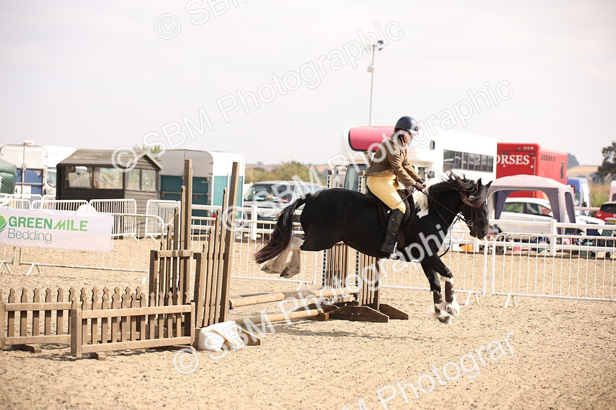 SBM_14214 - Class 407a - Working Veteran 60cm (15-19