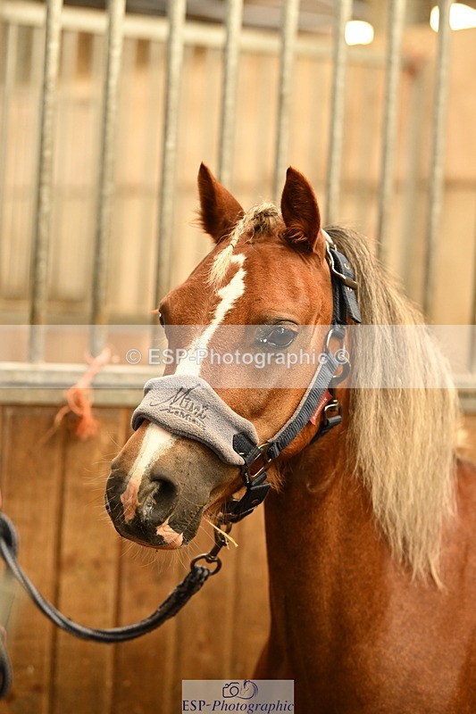 240809A-085959-00044 - Stable Shots