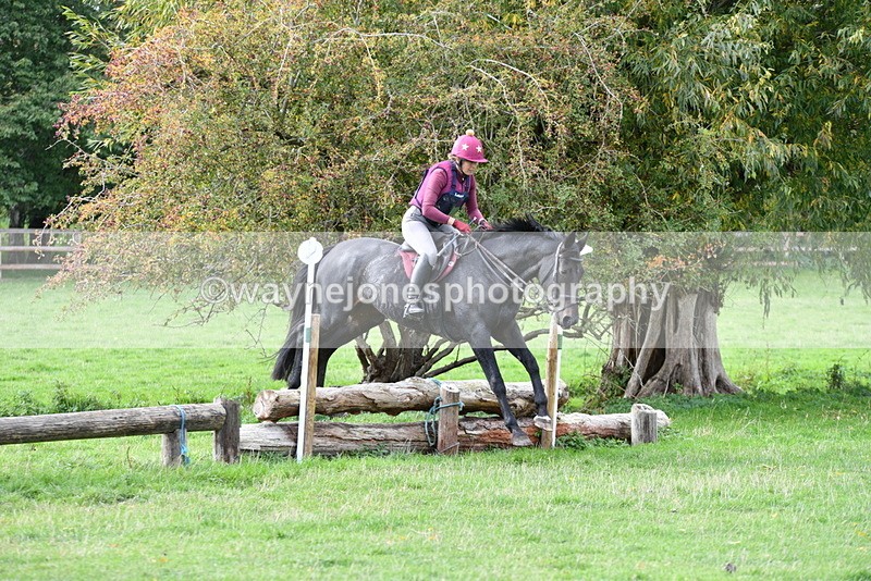 WJ5_0788 - Time 13:59 to 14:28