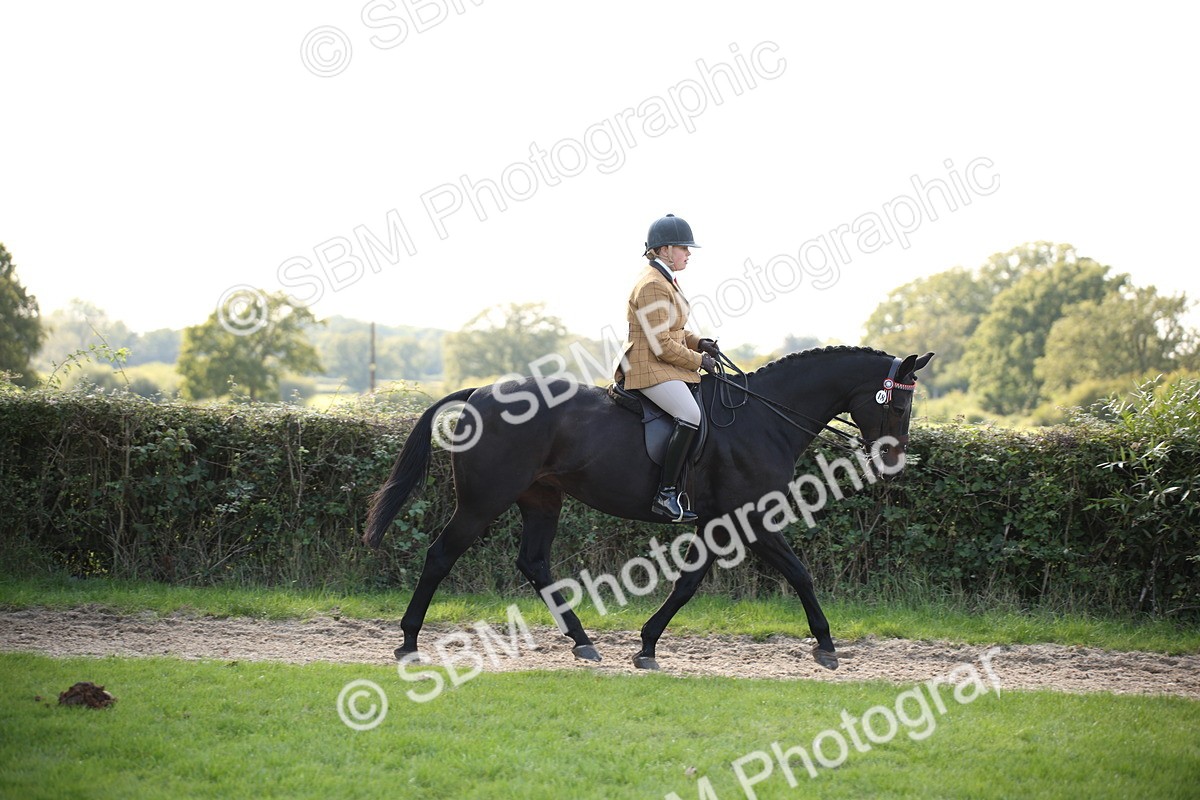 SBM_50113 - S26 - Young Veteran - Ridden