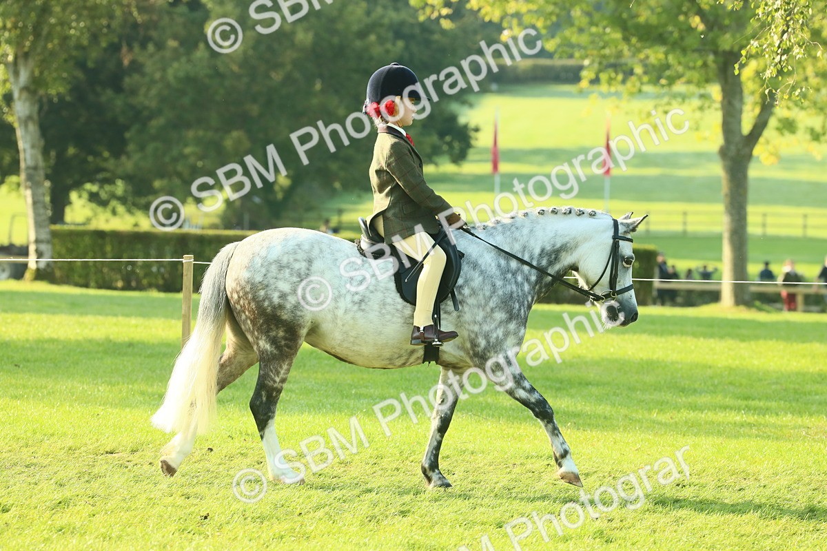 SBM_59116 - S38 - Starters Ridden Showing