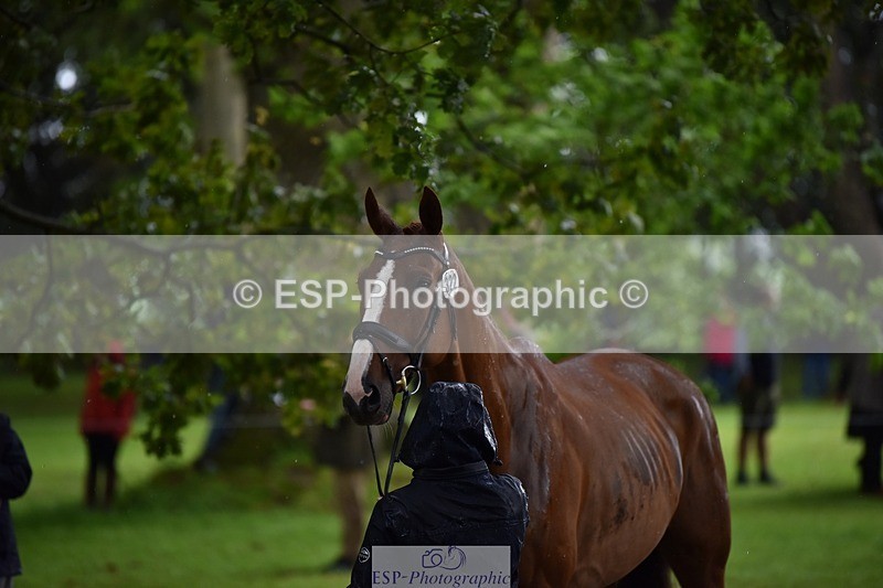 240522-151930-00261 - 322-CHILLI_KING-Gemma_Stevens