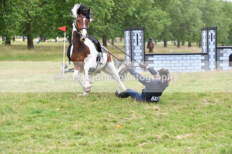 WJ5_0942 - Time at Jump 11:31 to 12:19