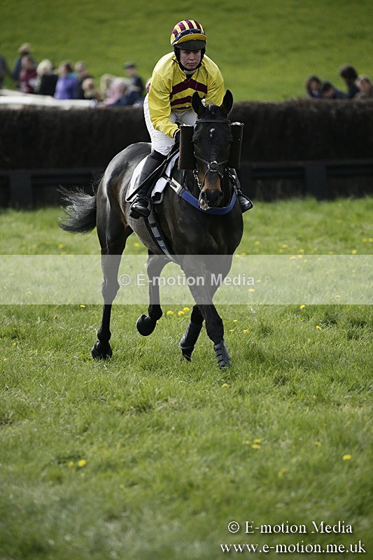 PtP 170417 437 - Old Berks Point-to-Point Lockinge 17/04/17