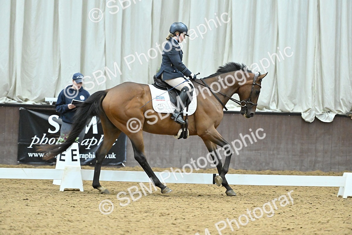 SBM_007532 - Class 81 - Novice 3