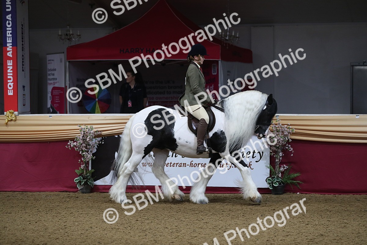 SBM_10318 - Class 102 Equitation (best rider) Adult