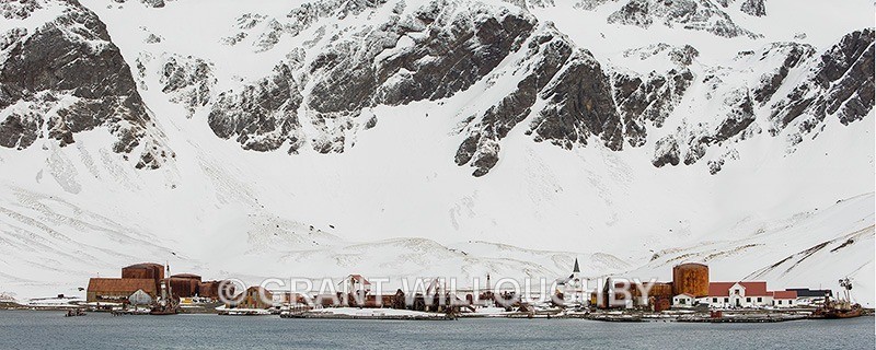 Grytviken Whaling Station South Georgia - Antartica