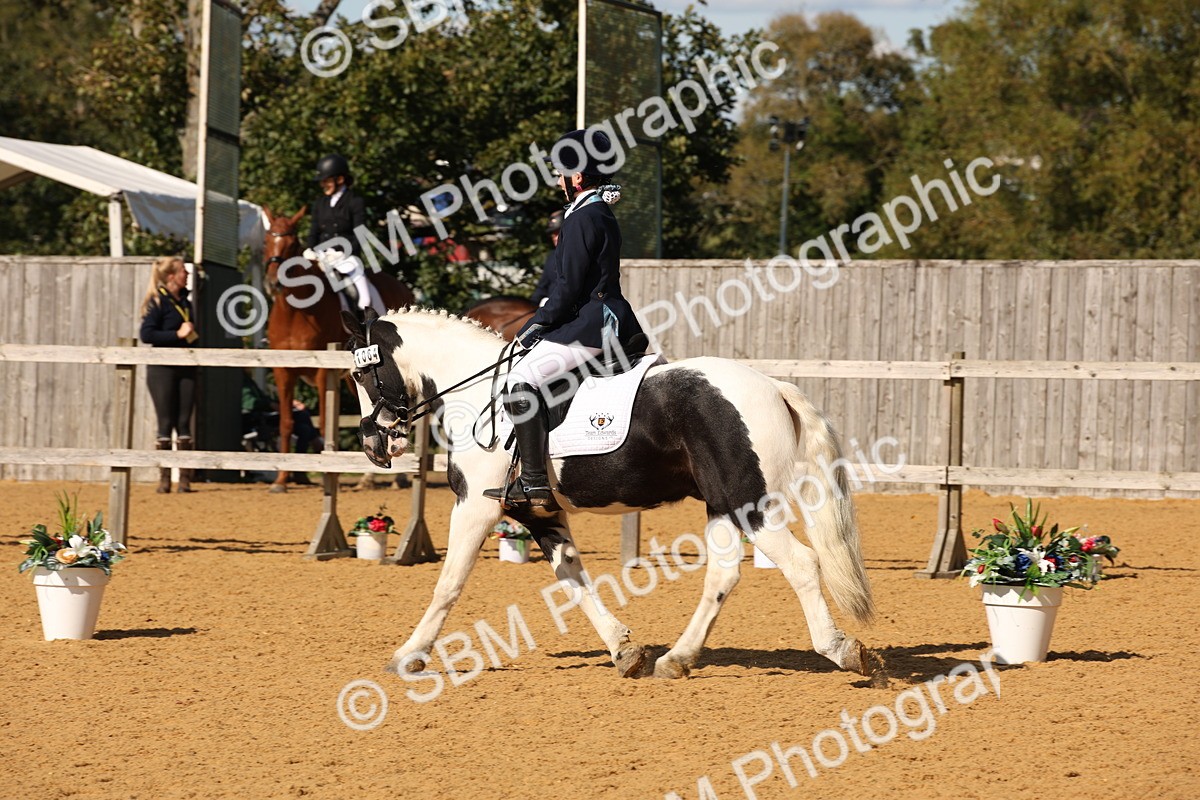 SBM_24278 - D5 - Small Tour Championship - Intro C