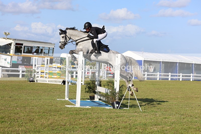 3E7A4497 - Class C: Showjumping Senior Foxhunter