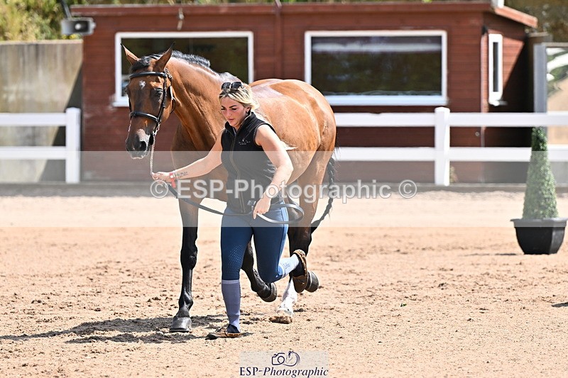 240718A-105240-01006 - Trot Up 11am to 12pm