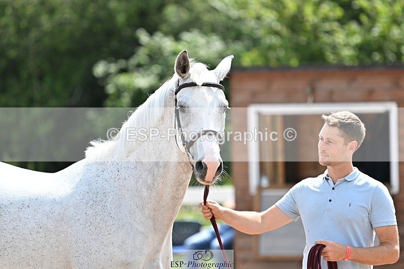 240717A-151726-02723 - Trot Up 3pm to 4pm