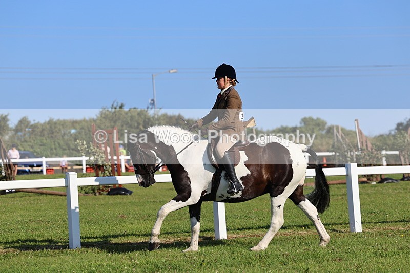 IMG_1380 - Class 28: Ridden Plaited Coloured Pony