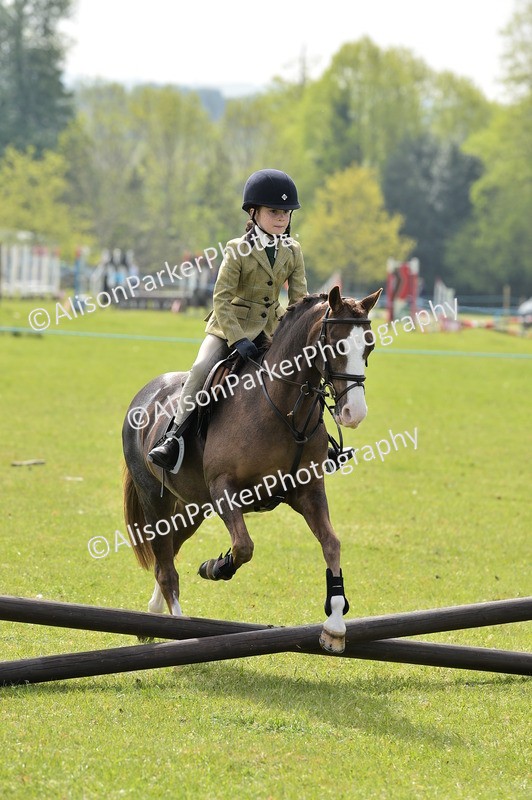 20260426-2263 - Class 20 - Beginner Working Hunter