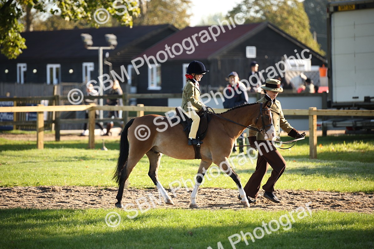 SBM_34172 - S9 - Lead Rein Equitation