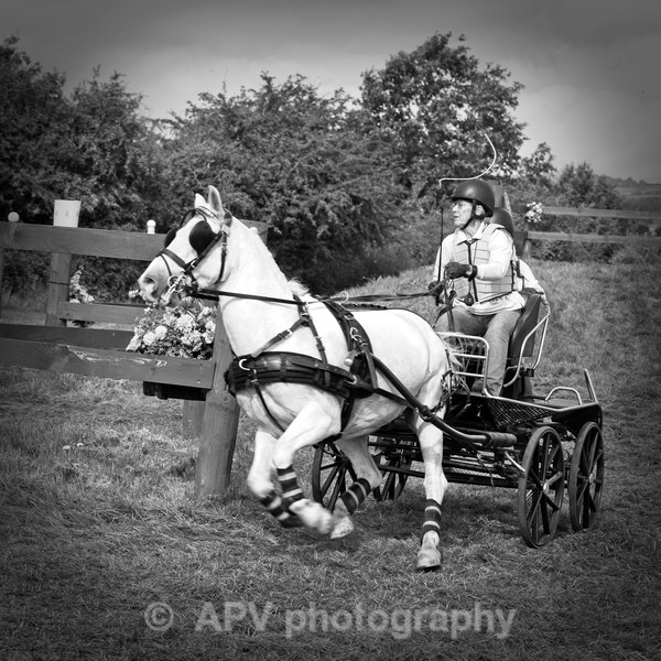 SBG_6083 - Sylv & Dougie Days Out.