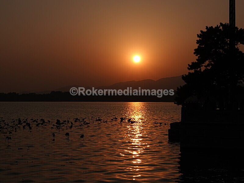 CHINA__1321 - China 2019