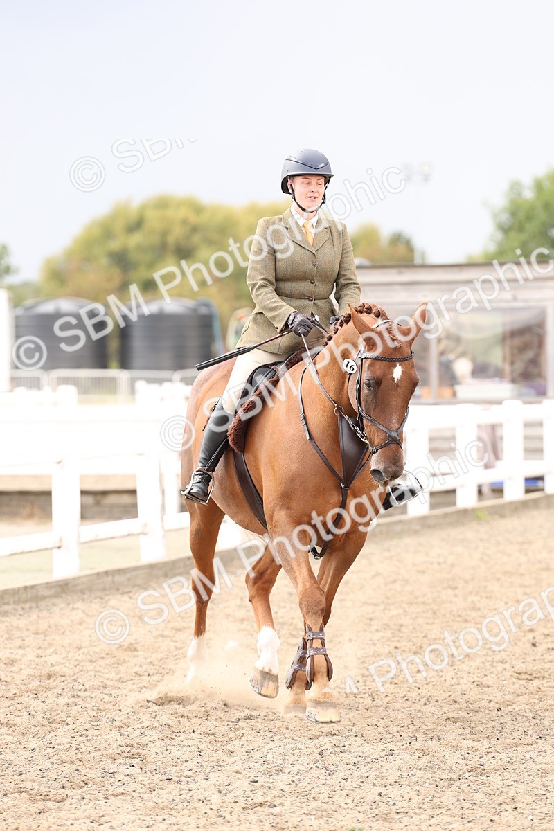 SBM_07466 - Class 59a -  Style & Performance - 80cm (15-19)