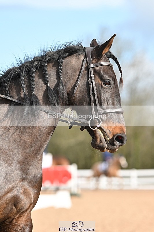 240324A-093745-00165 - Prelim 2, Start to 10am