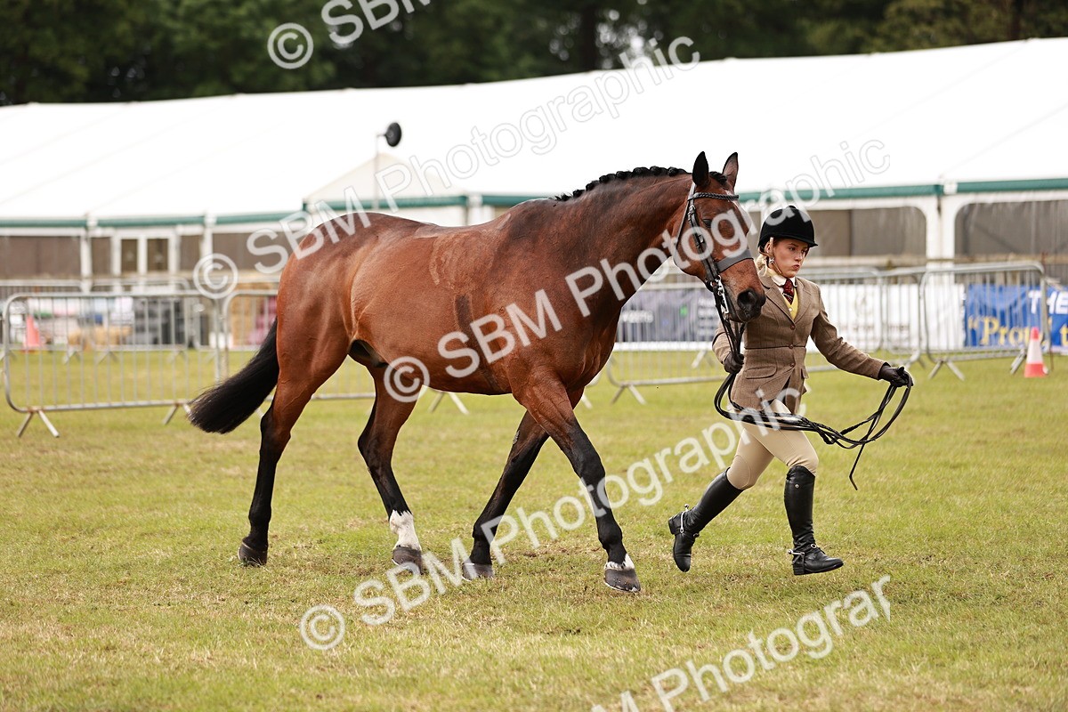 SBM_10885 - Class 81-84 - RIHS Ridden hunters Inc Ladies Hunter