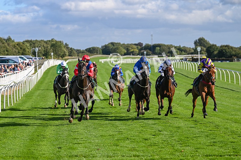 100924-Race 5-Crocodile Power-0434 - Race 5