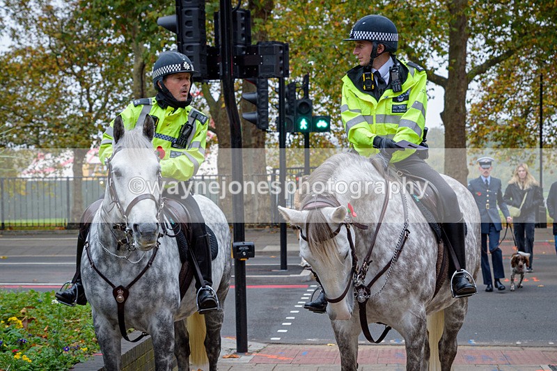 NGP_8179 - 2024 Animals in War Remembrance Gathering