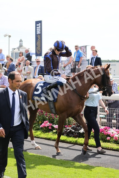 yr08072022r2-2 - Race 2 2.40pm William Hill Summer Stakes