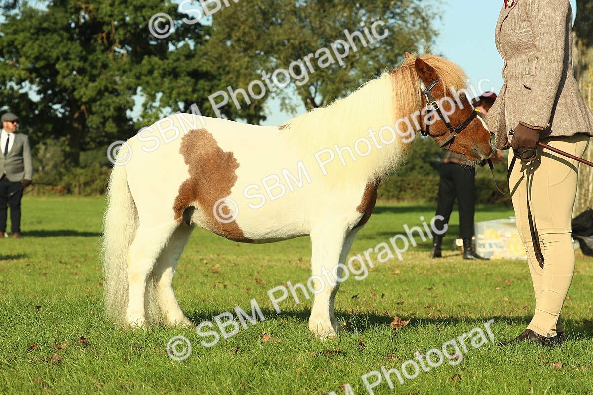 SBM_58577 - S37 - Starters In Hand Showing