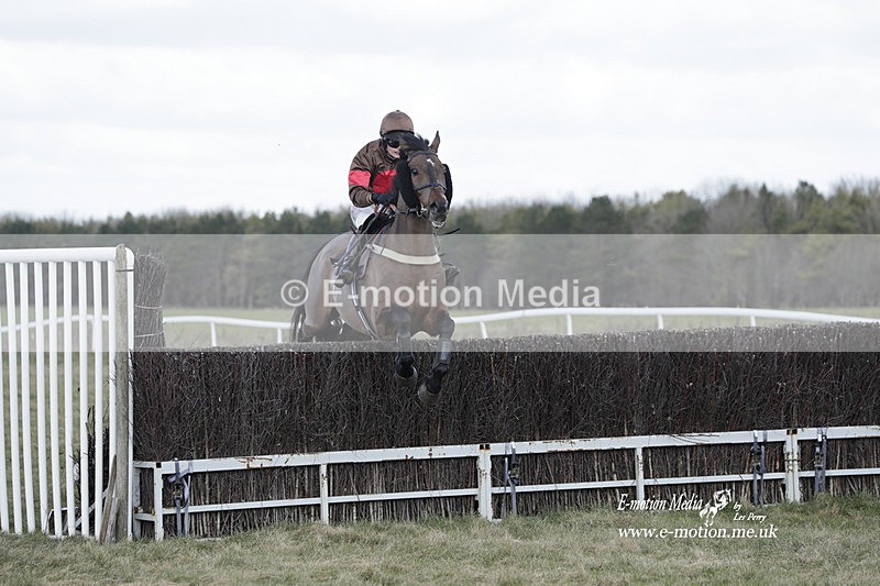 PtP 260223 661 - South & West Wilts Point-to-Point Larkhill 26/02/23