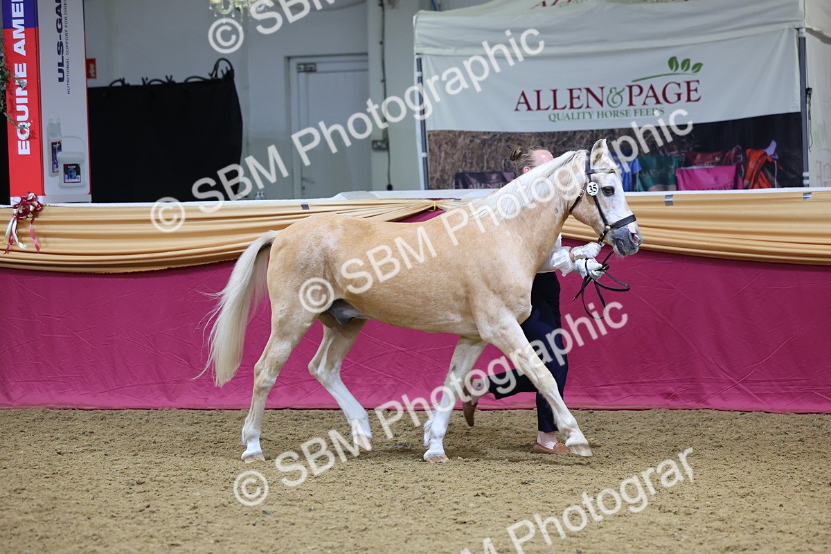 SBM_19374 - Class 901 - Supreme Final - IH Diamond