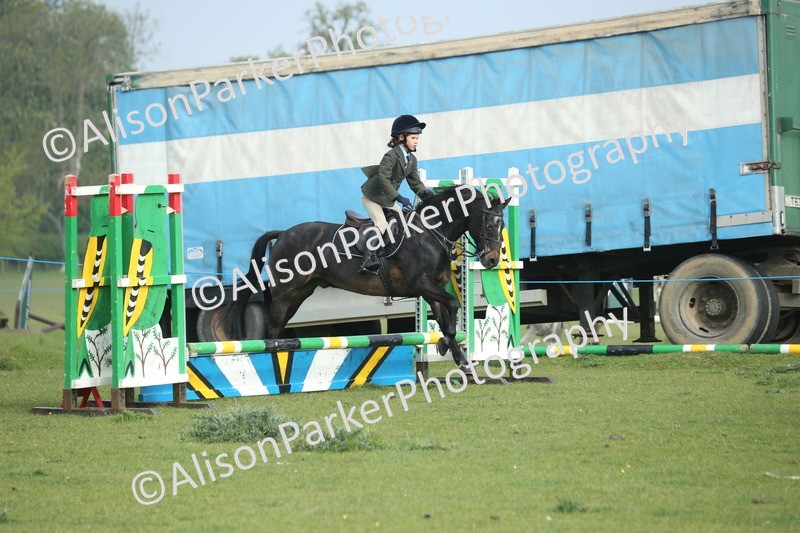 20260426-0008 - Class 13 - Rookie Jumping 50cm