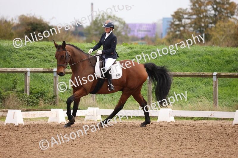 20251021-0518 - Class 5 - Novice 2