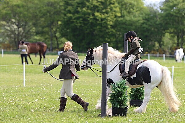 IMG_2195 - Working Hunter