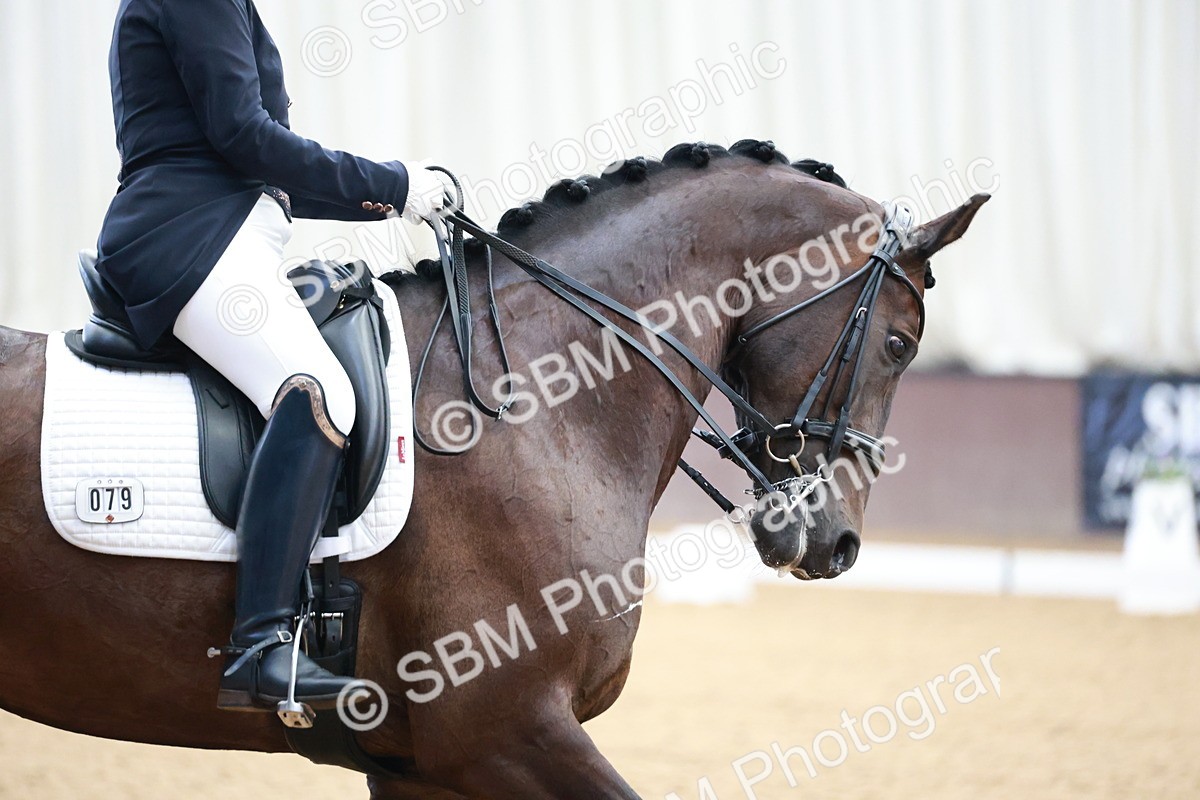 SBM_008590 - Class 14 - FEI PSG - 9.30-10.30