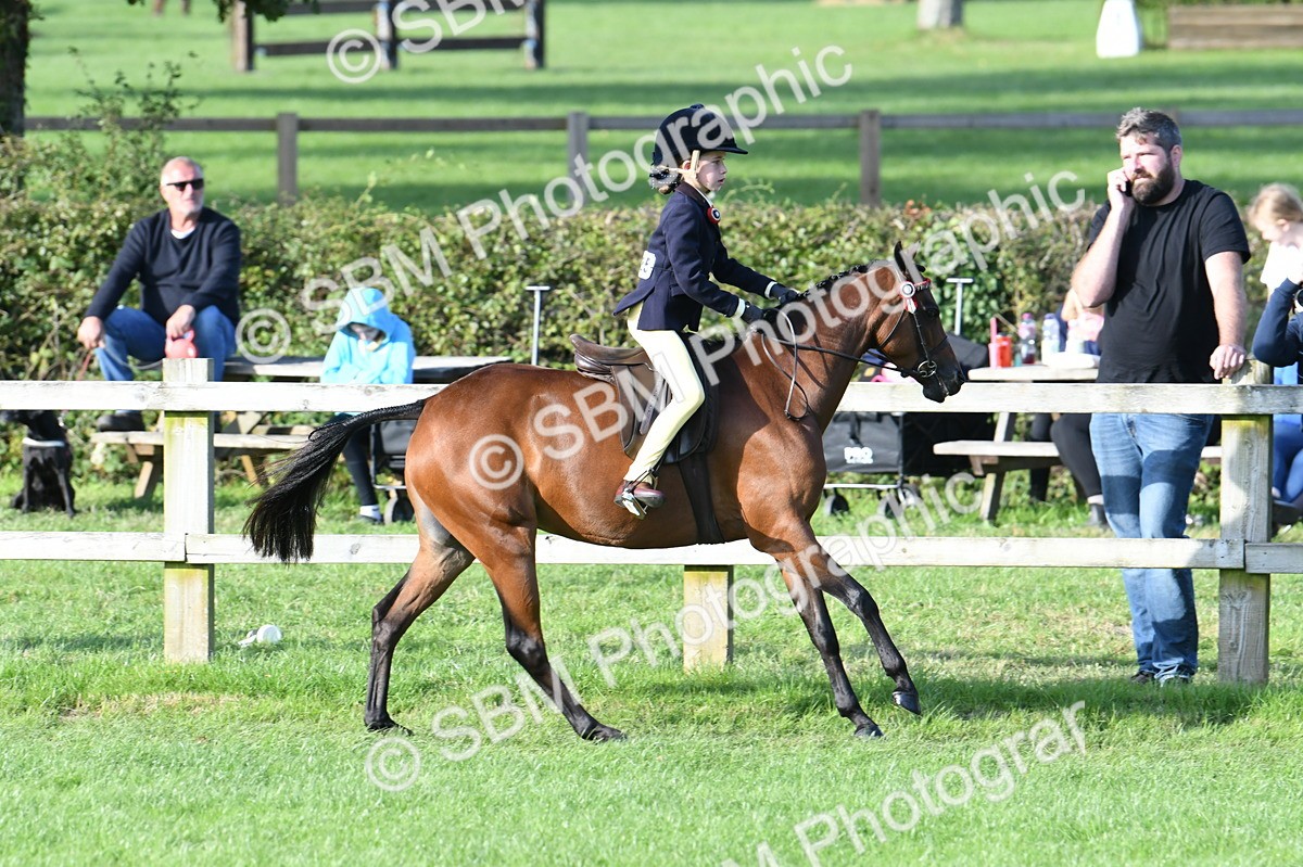 SBM_52406 - S22 - 1st Ridden Show & Show Hunter Pony