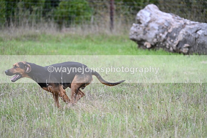 WJ7_3523 - Camera 1 Line 1