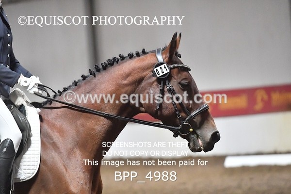 BPP_4988 - INTRO TEST 3