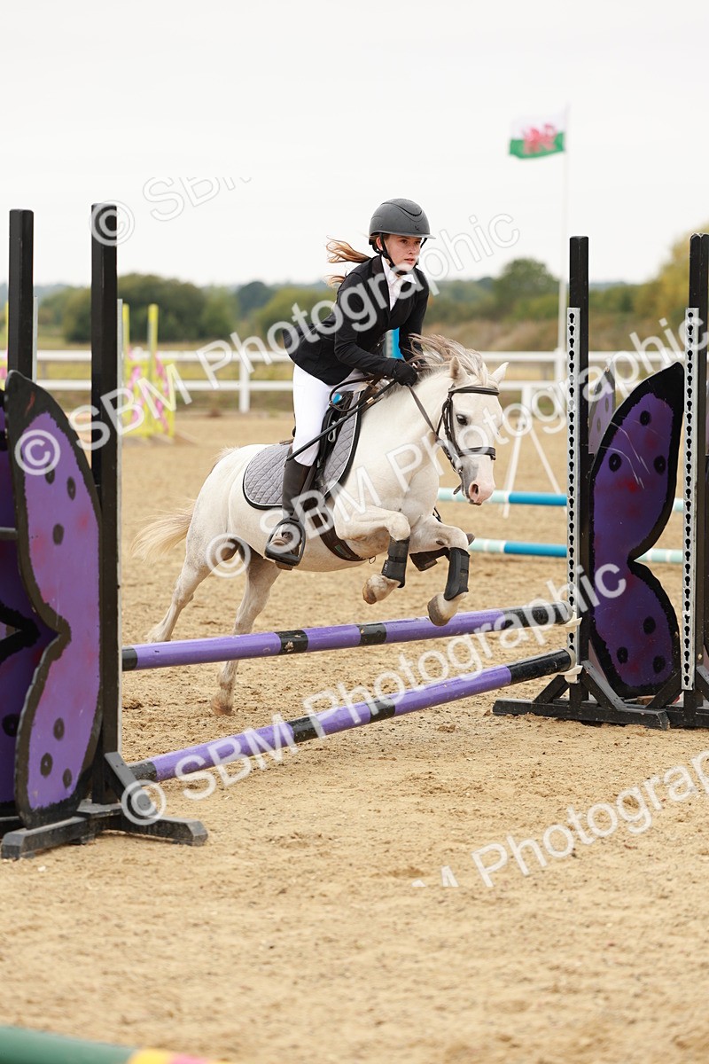 SBM_007176 - Class 2 - 50cm