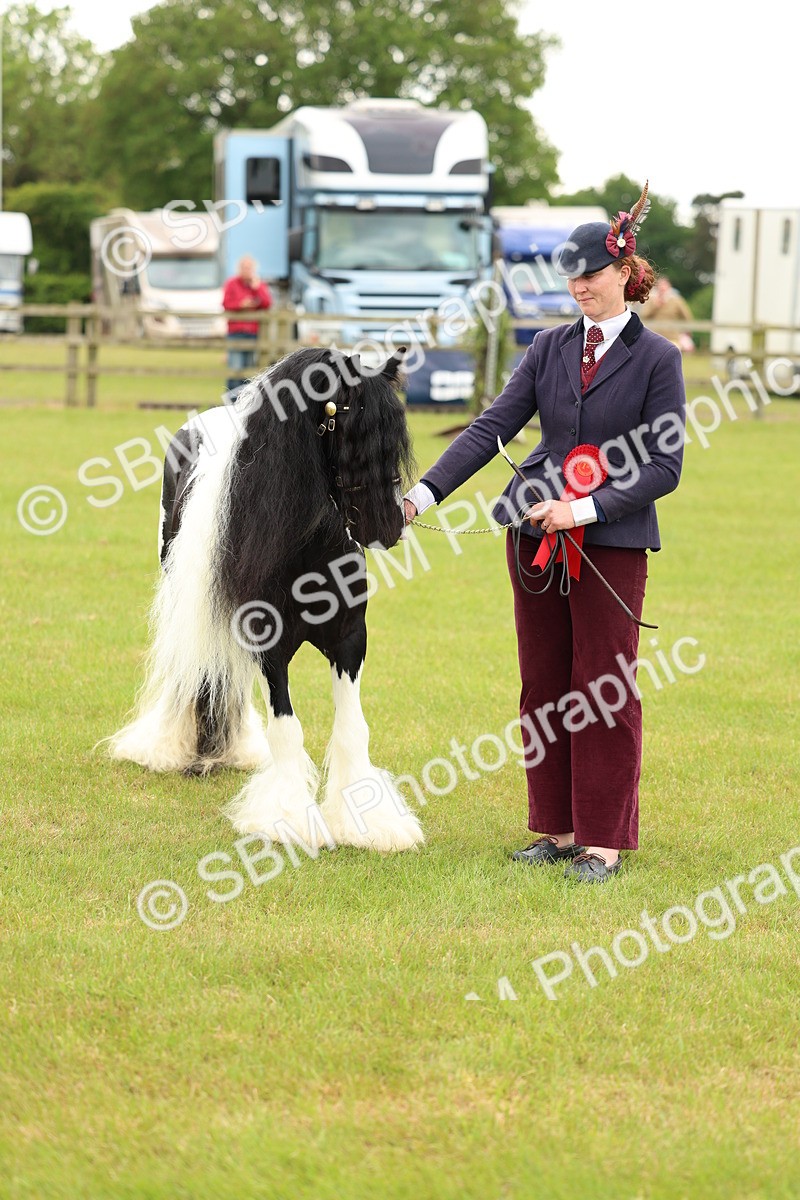 SBM_06353 - Class 39-41 TGCA In Hand and Ridden