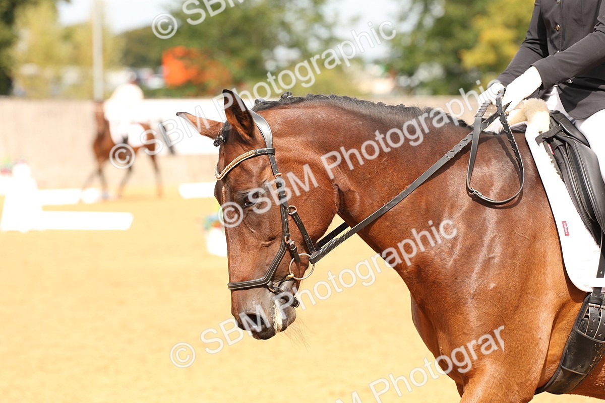 SBM_40645 - D6 - Small Tour Championship Intro 4