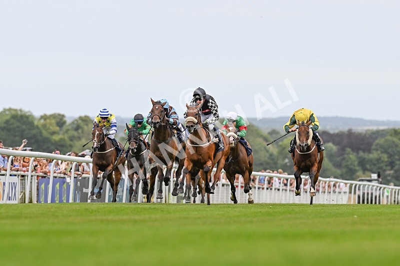 140824-Race 3-King Sharja-3523 - Race 3