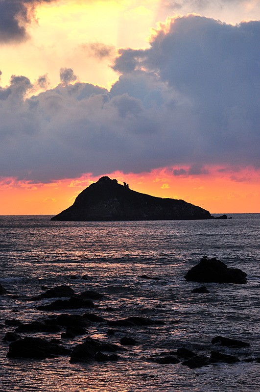 Portrait sunrise Meadfoot