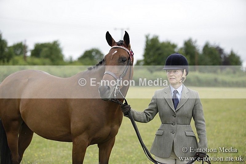 BVR160717-845 - Ring 2 BVRC Show 16/07/17