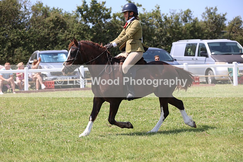JPP_3045 - Class 22: Working Hunter 70cm