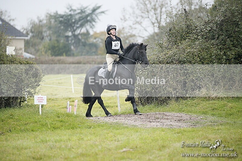 WWHT 181020 WWHT 181020 875 - WWEC Novice Pairs (0.80m) 18/10/20