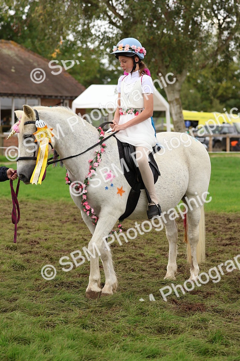 SBM_62238 - S37b - Best Unicorn
