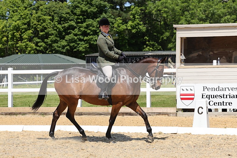 1X9A1803 - Class 12: Ridden Riding Horse/Hack